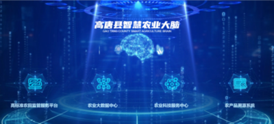 浪潮智慧：智慧农业大脑推动高唐县农业产业数字化转型